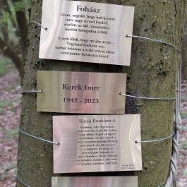 Emlékerdő, Agostyán - Egyéb