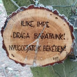 Emlékerdő, Agostyán - Egyéb