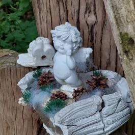 Emlékerdő, Agostyán - Egyéb