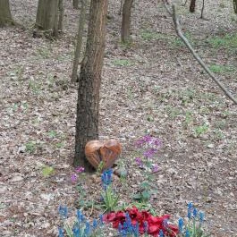 Emlékerdő, Agostyán - Egyéb