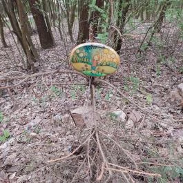 Emlékerdő, Agostyán - Egyéb