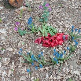 Emlékerdő, Agostyán - Egyéb