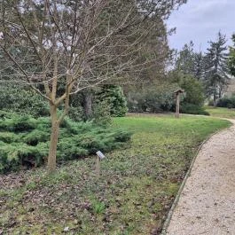 Emlékpark Feked - Külső kép