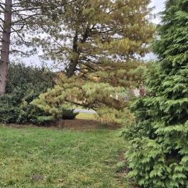 Emlékpark Feked - Külső kép