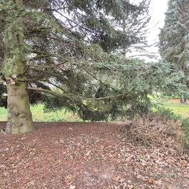 Emlékpark Feked - Külső kép