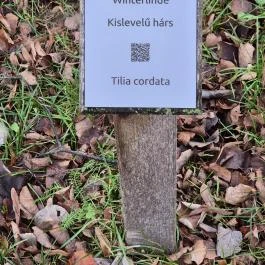 Emlékpark Feked - Egyéb