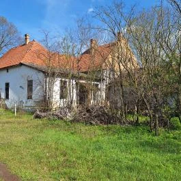 Endre-kúria, Petőfiszállás - Külső kép