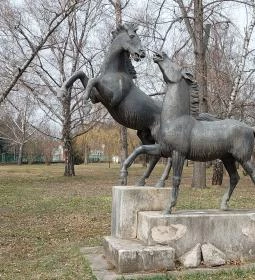 8. legjobb látnivaló: Enyelgő csikók