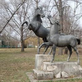 Enyelgő csikók Herceghalom - Külső kép