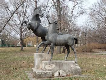 Enyelgő csikók Herceghalom