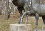 Enyelgő csikók Herceghalom