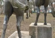 Enyelgő csikók Herceghalom