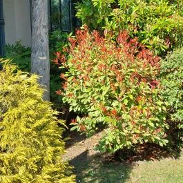 ELTE Füvészkert, Budapest - Külső kép