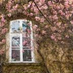 ELTE Füvészkert Budapest - 