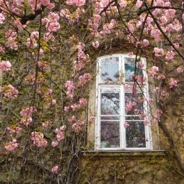 ELTE Füvészkert, Budapest - 