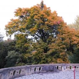 Epreskert Budapest - Külső kép