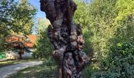 Az erdő szelleme (faszobor), Bakonykúti