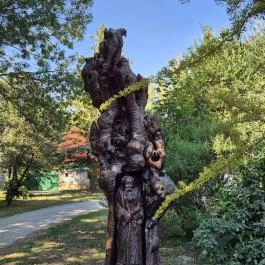 Az erdő szelleme (faszobor) Bakonykúti - Külső kép