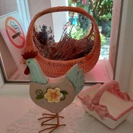 Erika Salátázója, Budaörs - Egyéb