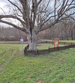 590. legjobb látnivaló: Erzsébet királyné liget