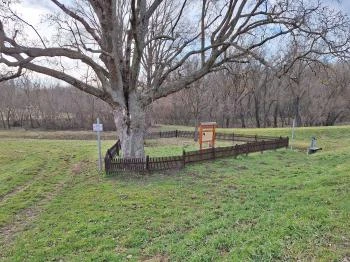 Erzsébet királyné liget Árpás