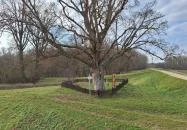 Erzsébet királyné liget Árpás