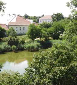 Erzsébet ligeti Lombkorona Sétány és Kilátó