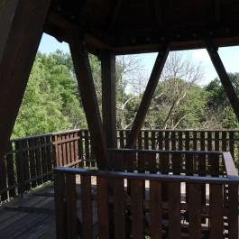 Erzsébet ligeti Lombkorona Sétány és Kilátó Gyomaendrőd - Egyéb