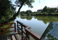 Erzsébet ligeti Lombkorona Sétány és Kilátó Gyomaendrőd