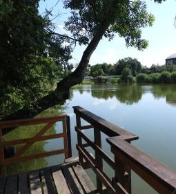 Erzsébet ligeti Lombkorona Sétány és Kilátó