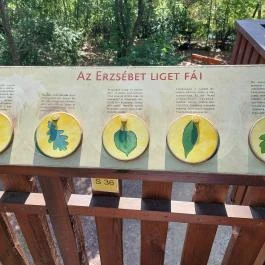 Erzsébet ligeti Lombkorona Sétány és Kilátó Gyomaendrőd - Egyéb