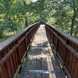 Erzsébet ligeti Lombkorona Sétány és Kilátó Gyomaendrőd - Egyéb