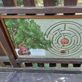 Erzsébet ligeti Lombkorona Sétány és Kilátó Gyomaendrőd - Egyéb