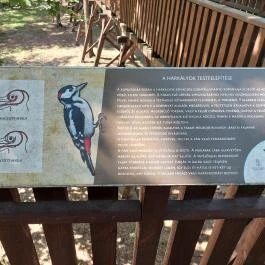 Erzsébet ligeti Lombkorona Sétány és Kilátó Gyomaendrőd - Egyéb