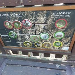 Erzsébet ligeti Lombkorona Sétány és Kilátó Gyomaendrőd - Egyéb