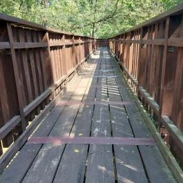 Erzsébet ligeti Lombkorona Sétány és Kilátó Gyomaendrőd - Egyéb