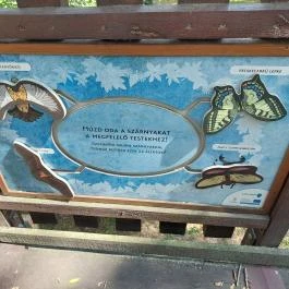 Erzsébet ligeti Lombkorona Sétány és Kilátó Gyomaendrőd - Egyéb