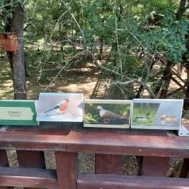 Erzsébet ligeti Lombkorona Sétány és Kilátó Gyomaendrőd - Egyéb