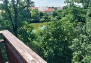 Erzsébet ligeti Lombkorona Sétány és Kilátó Gyomaendrőd