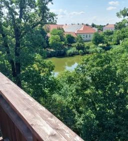 Erzsébet ligeti Lombkorona Sétány és Kilátó