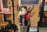 Erzsike Espresso & Lángos Budapest