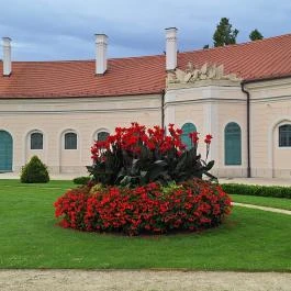 Esterházy-Kastély Fertőd - Külső kép