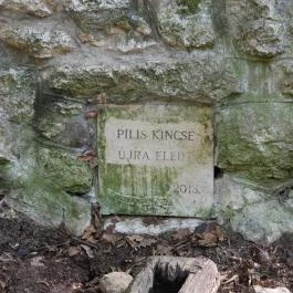 Eszperantó-forrás, Piliscsév - Egyéb