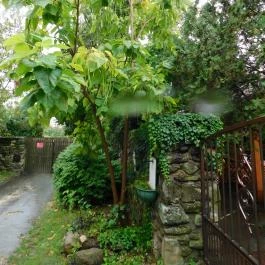 Eszter Panzió étterme, Szentbékkálla - Egyéb