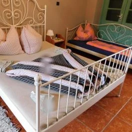 Eszter Panzió, Szentbékkálla - Szobák