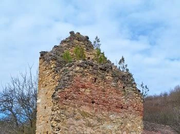 Eszterpusztai templomrom Cikó