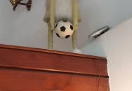 Európa Bisztró Kifőzde Budapest