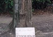 Európa liget Budapest