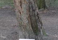 Európa liget Budapest