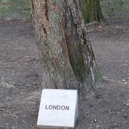 Európa liget Budapest - Egyéb